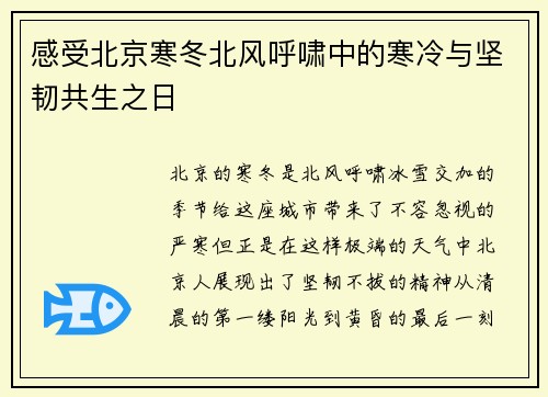 感受北京寒冬北风呼啸中的寒冷与坚韧共生之日