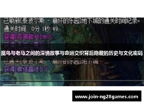 魔鸟与老马之间的深情故事与命运交织背后隐藏的历史与文化密码