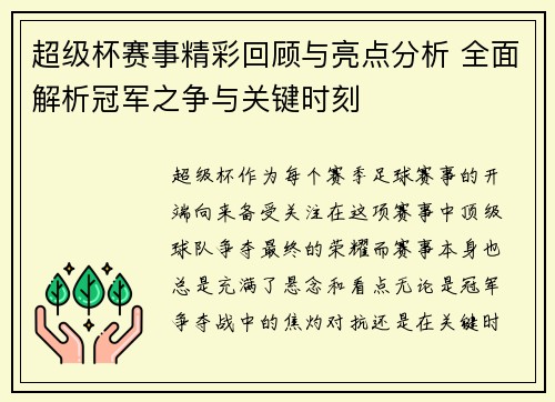 超级杯赛事精彩回顾与亮点分析 全面解析冠军之争与关键时刻