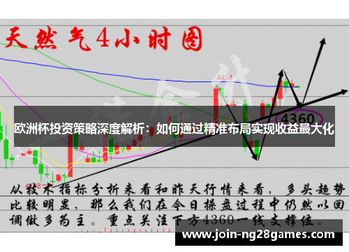 欧洲杯投资策略深度解析：如何通过精准布局实现收益最大化