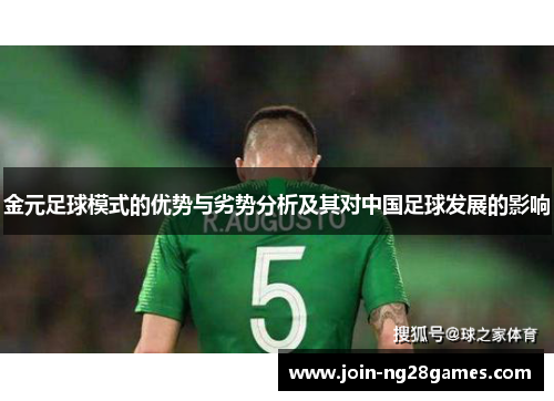 金元足球模式的优势与劣势分析及其对中国足球发展的影响