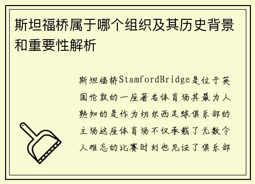 斯坦福桥属于哪个组织及其历史背景和重要性解析
